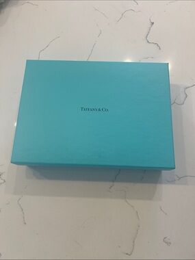 Tiffany & Co.  sterling silver Robin's Egg Blue Presentation Box lotus pattern